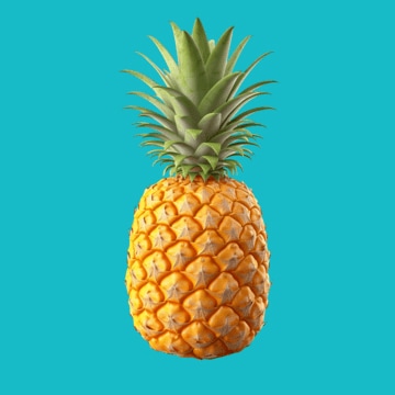 Paradise Exotic Icon